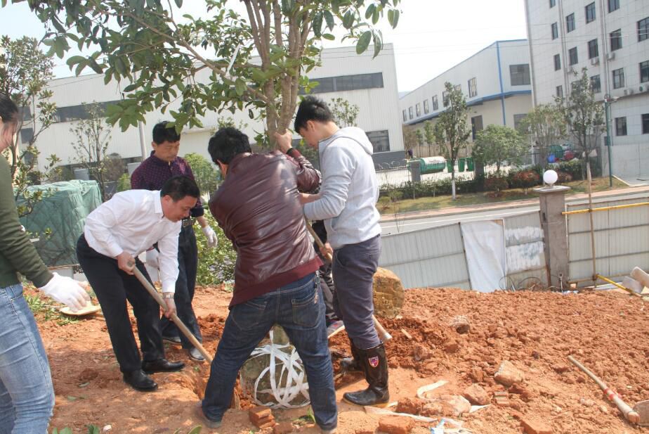9001cc金沙以诚为本(中国)有限公司官网